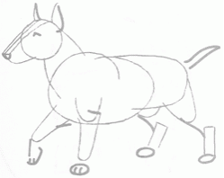 bull-terrier-5_250