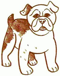 bulldog-4_250