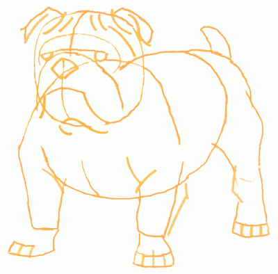 bulldog-5_400