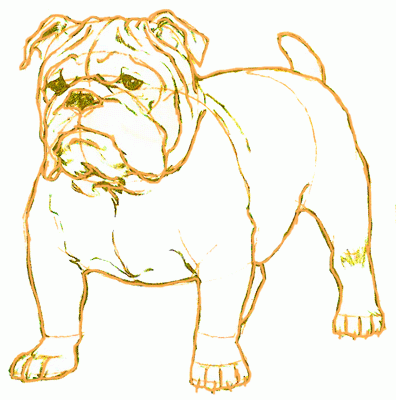 bulldog-6_400