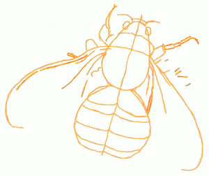 bumble-bee-6_300