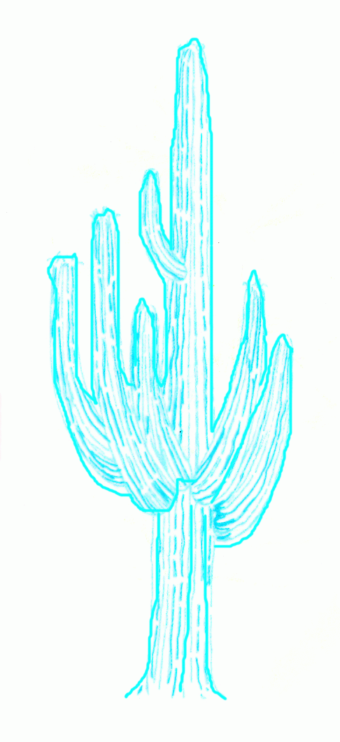cactus-giant-cereus-4_1060_01