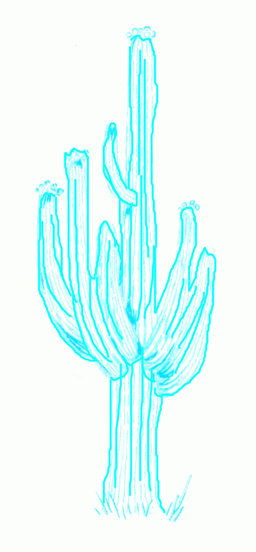 cactus-giant-cereus-5_1074_01