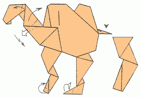 camel-22_492
