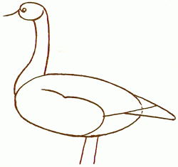 canada-goose-2_250