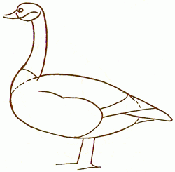 canada-goose-3_250