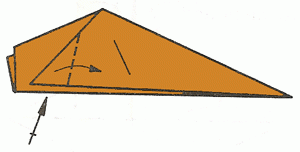 carp-11_300 carp-11_300
