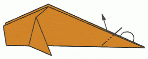 carp-12_300 carp-12_300