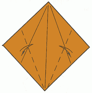 carp-3_300 carp-3_300