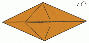 carp-8_300 carp-8_300