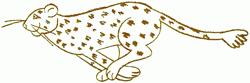 cheetah-4_250_01