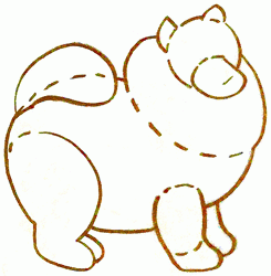 chow-chow-3_250