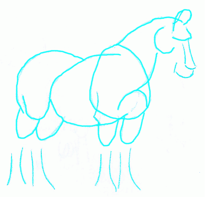 clydesdale-horse-4_680