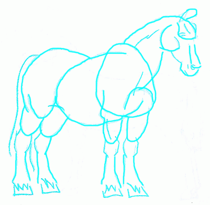 clydesdale-horse-5_696