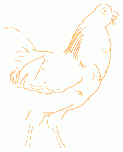 cock-3_500