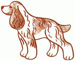 cocker-spaniel-4_250_02