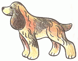 cocker-spaniel-5_250_01