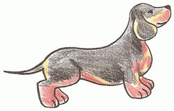 dachshund-5_250_01