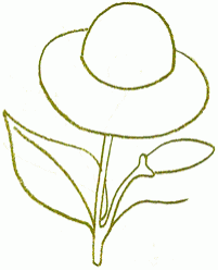 Exam Guide Online - How to Draw a Dahlia.