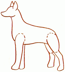 doberman-pinscher-3_250