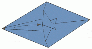 dolphin-12_300 dolphin-12_300