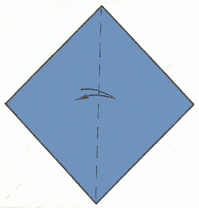 dolphin-1_300 dolphin-1_300