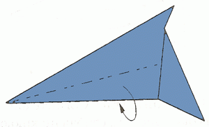 dolphin-9_300 dolphin-9_300