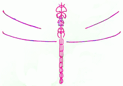dragonfly-4_250_01
