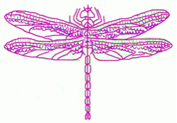 dragonfly-8_250_01