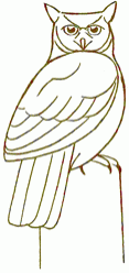 eagle-owl-4_250