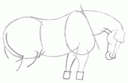 easy-tempered-horse-side-view-3_250
