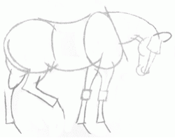 easy-tempered-horse-side-view-4_250