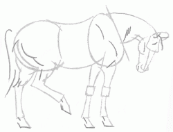 easy-tempered-horse-side-view-5_250