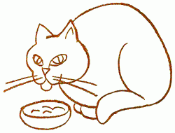 eating-cat-4_250