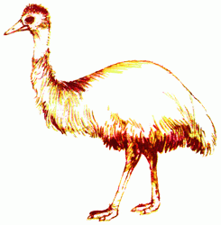 emu-6_250