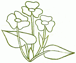 european_frogbit_4_250