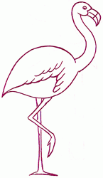 flamingo-4_250_01