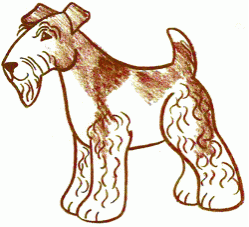 fox-terrier-4_250