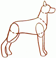 great-dane-2_250