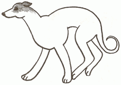 greyhound-4_250