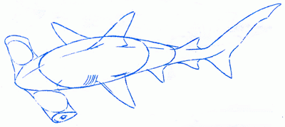 hammer-headed_shark-5_400