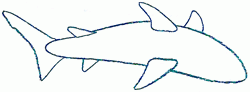 hammerhead_shark_4_250