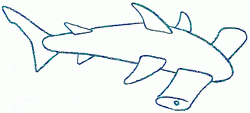 hammerhead_shark_5_250