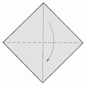 head-of-schnauzer-1_300