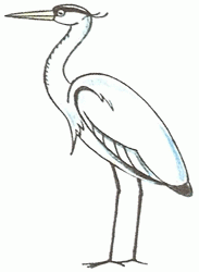 heron-5_250