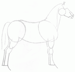 horse-morgan-4_250