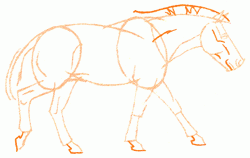 horse-of-przhevalskiy-5_250