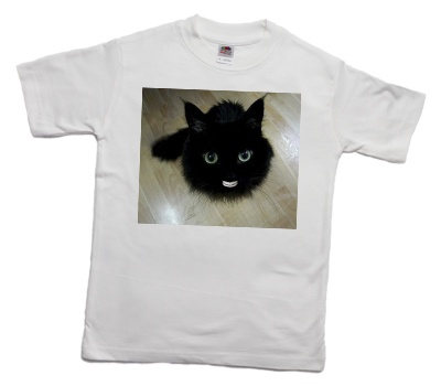 how_to_print_a_funny_cat_on_a_t-shirt_3_400