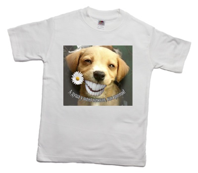 how_to_print_a_funny_smile_dog_on_a_t-shirt_1_400