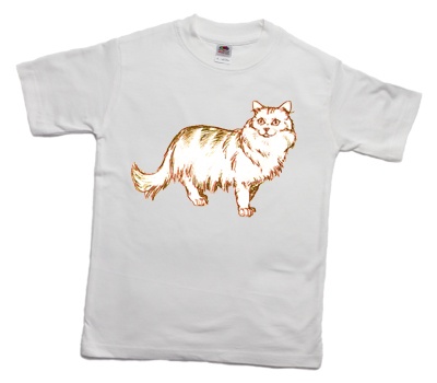 how_to_print_a_long-haired_parti-coloured_cat_on_a_t-shirt_400